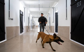 Batalh&atilde;o de A&ccedil;&otilde;es com C&atilde;es &eacute; inaugurado em V. Redonda