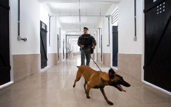 Batalh&atilde;o de A&ccedil;&otilde;es com C&atilde;es &eacute; inaugurado em V. Redonda
