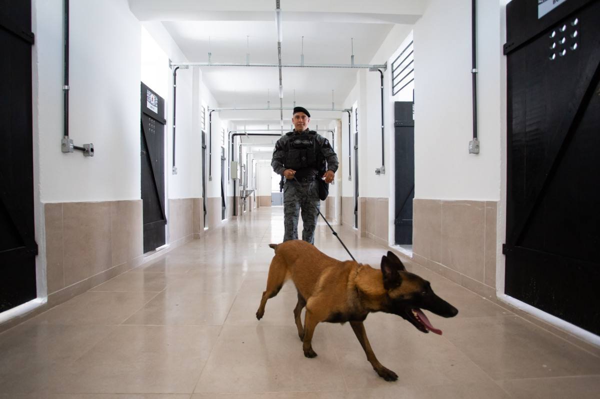 Batalh&atilde;o de A&ccedil;&otilde;es com C&atilde;es &eacute; inaugurado em V. Redonda