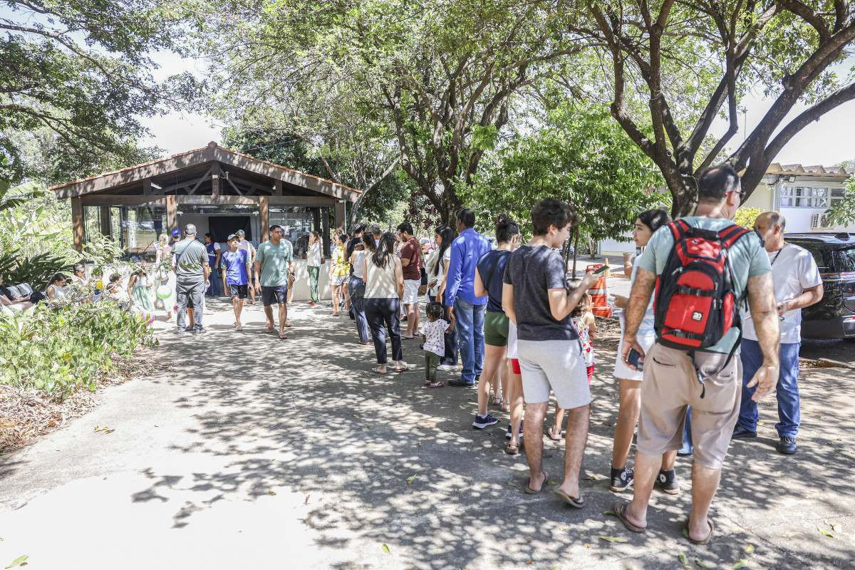 Dia D atualiza vacina&ccedil;&atilde;o infantil e refor&ccedil;a alerta contra sarampo