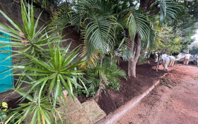 &Aacute;rea verde no S&atilde;o Quirino &eacute; recuperada ap&oacute;s mutir&atilde;o de limpeza