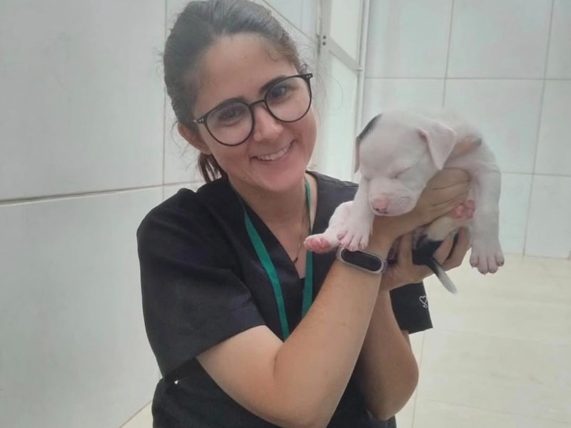 Justi&ccedil;a Federal vai investigar morte de veterin&aacute;ria atacada por c&atilde;o do Senado