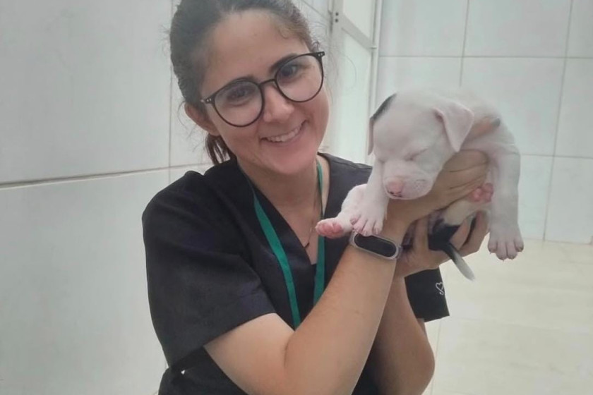Pol&iacute;cia Civil do Distrito Federal abre inqu&eacute;rito para investigar morte de veterin&aacute;ria