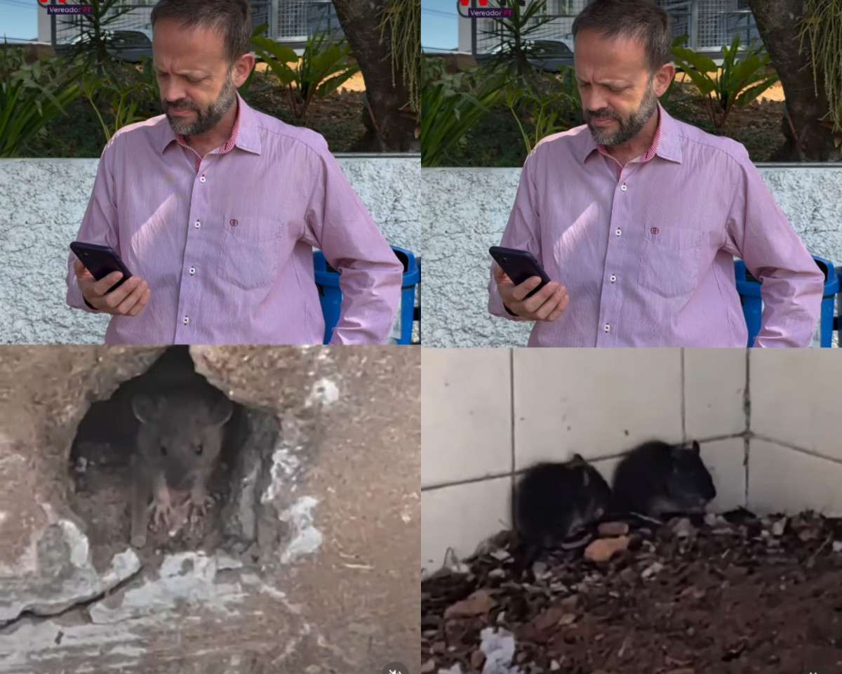 Den&uacute;ncia aponta presen&ccedil;a de ratos no Centro de Sa&uacute;de Parque da Figueira; Prefeitura promete refor&ccedil;o na dedetiza&ccedil;&atilde;o