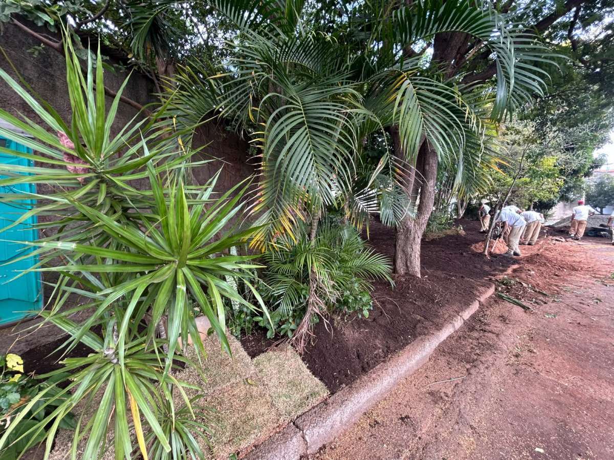 &Aacute;rea verde no S&atilde;o Quirino &eacute; recuperada ap&oacute;s mutir&atilde;o de limpeza