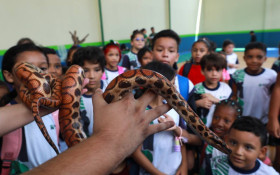 Bosque em Bel&eacute;m faz anivers&aacute;rio de 143 anos