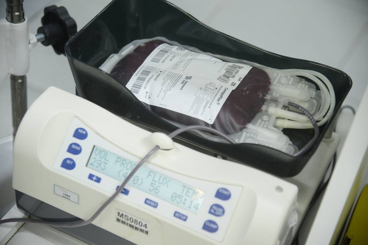 Junho Vermelho: incentivo &agrave; doa&ccedil;&atilde;o de sangue