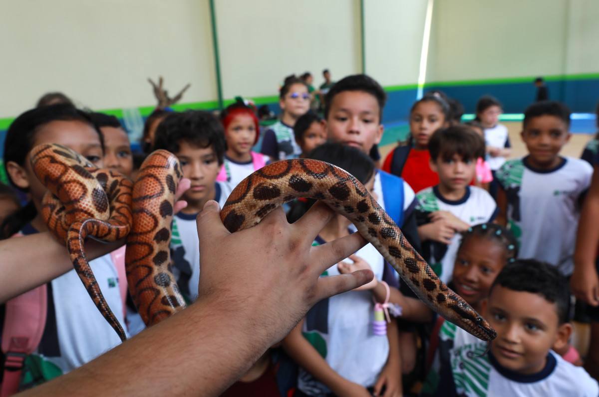 Bosque em Bel&eacute;m faz anivers&aacute;rio de 143 anos