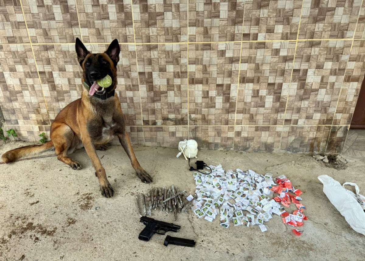 C&atilde;es do BAC localizam arma, muni&ccedil;&otilde;es e drogas em primeira ocorr&ecirc;ncia na regi&atilde;o