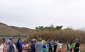 Horta comunit&aacute;ria do Brasil&acirc;ndia faz primeira colheita
