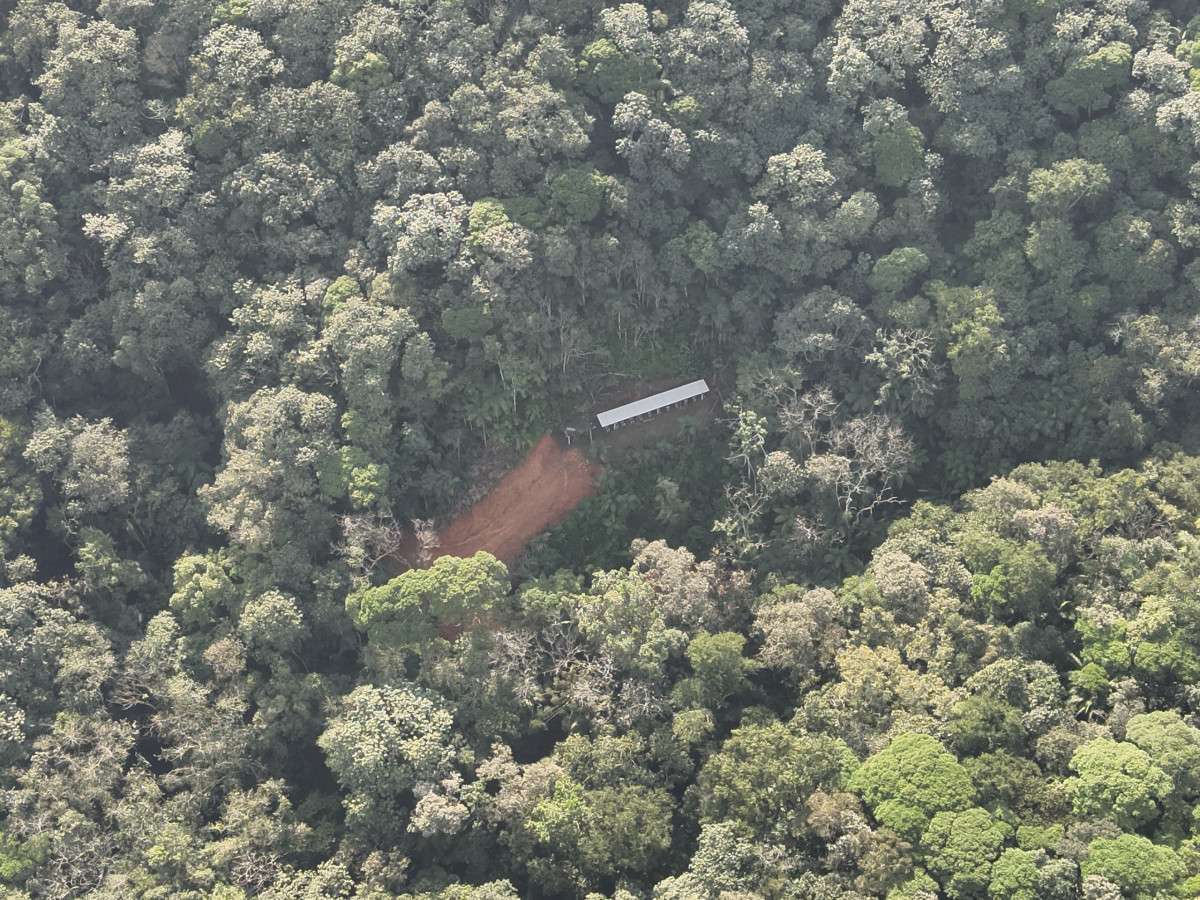 Opera&ccedil;&atilde;o Mata Atl&acirc;ntica em P&eacute; aconteceu em SC