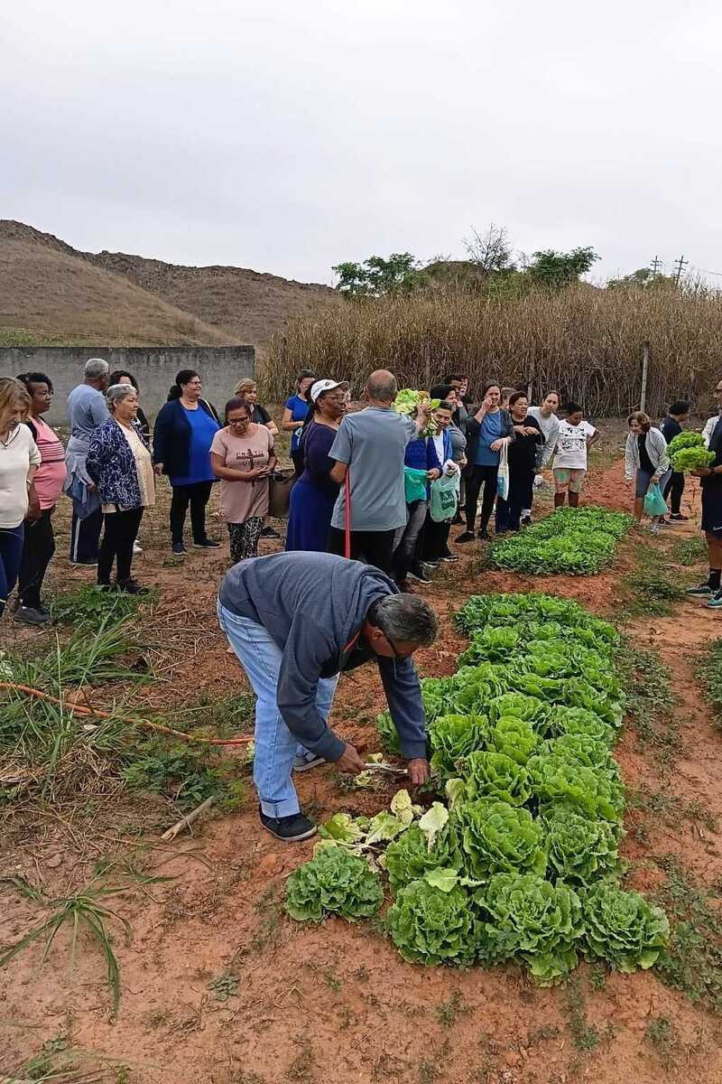 Horta comunit&aacute;ria do Brasil&acirc;ndia faz primeira colheita