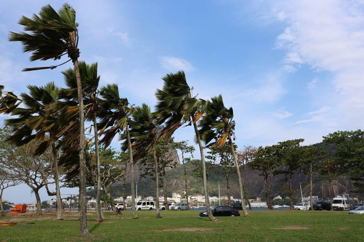 Plano de emerg&ecirc;ncia na sa&uacute;de devido ao clima