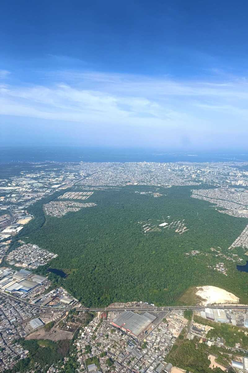 700 hectares de floresta bem no meio de Manaus