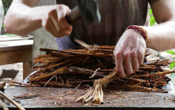Regras para uso da ayahuasca no Brasil podem passar por revis&atilde;o
