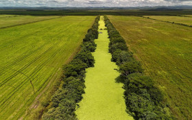 Fazenda autoriza repasse de US$ 1 bi ao Eco Invest
