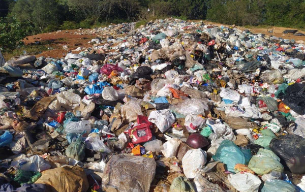 Direito priorit&aacute;rio da crian&ccedil;a a meio ambiente saud&aacute;vel aprovado