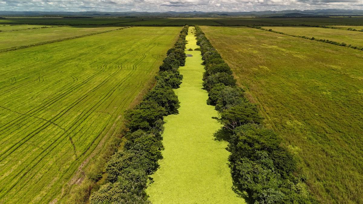 Fazenda autoriza repasse de US$ 1 bi ao Eco Invest
