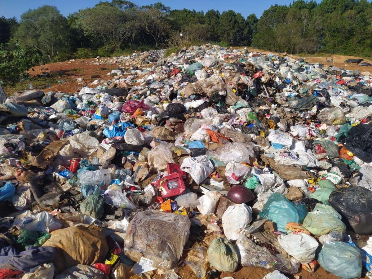 Direito priorit&aacute;rio da crian&ccedil;a a meio ambiente saud&aacute;vel aprovado