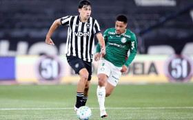 Com ajuda do Botafogo, Fla &eacute; o novo l&iacute;der do Brasileir&atilde;o