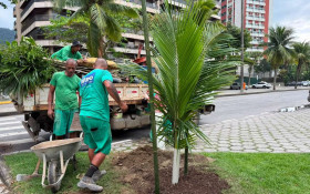 'Planta Rio' promove o replantio de 18 &aacute;rvores