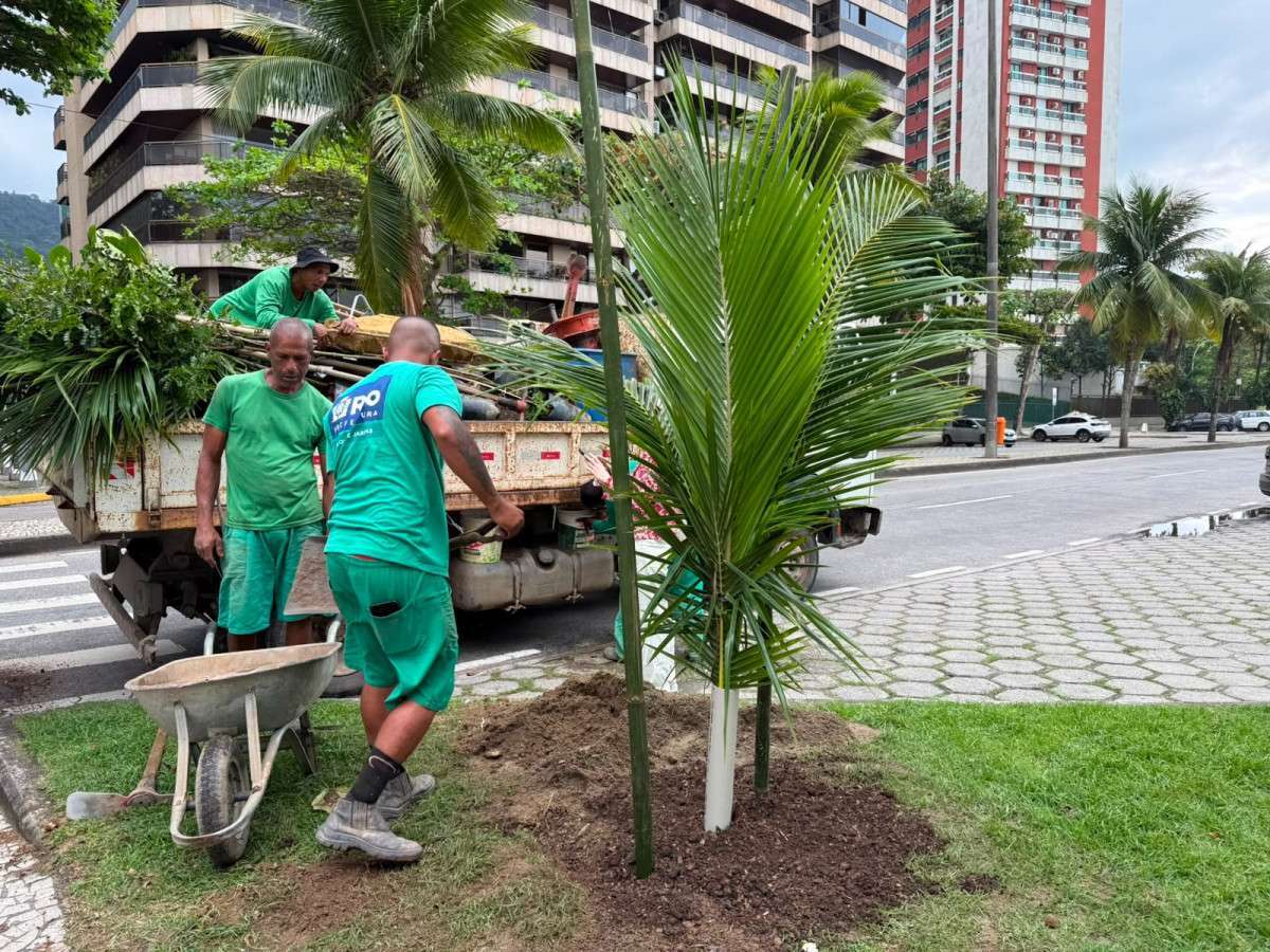 'Planta Rio' promove o replantio de 18 &aacute;rvores