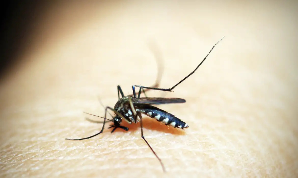 El Ni&ntilde;o coloca 11 regi&otilde;es de S&atilde;o Paulo em alerta para dengue e outras arboviroses