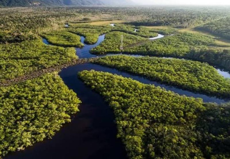 Decretos ampliam prote&ccedil;&atilde;o ambiental no Amazonas
