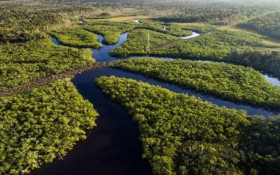 Decretos ampliam prote&ccedil;&atilde;o ambiental no Amazonas