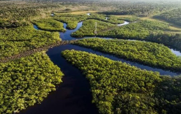 Decretos ampliam prote&ccedil;&atilde;o ambiental no Amazonas
