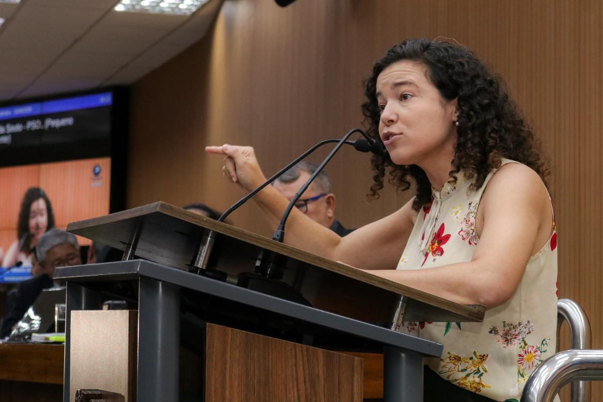 Fernanda Souto aciona Justi&ccedil;a Eleitoral por vandalismo em campanha