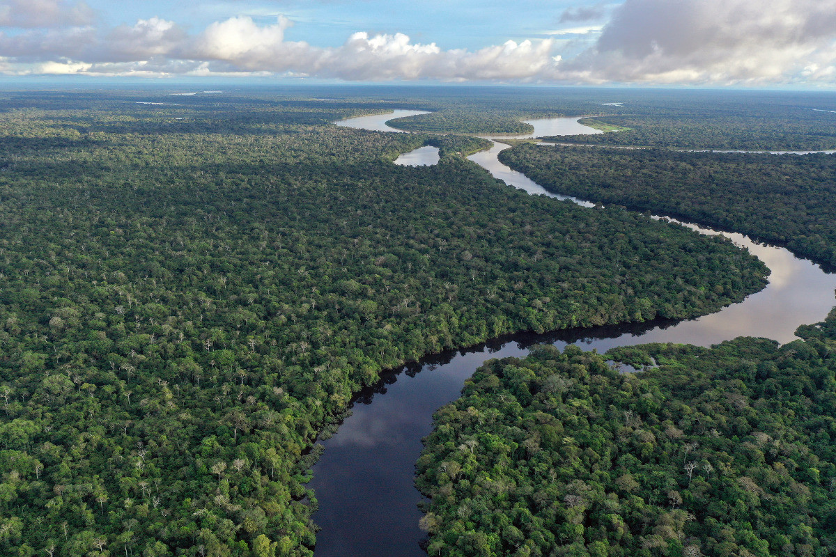 Uni&atilde;o cria 4 reservas sustent&aacute;veis no Amazonas