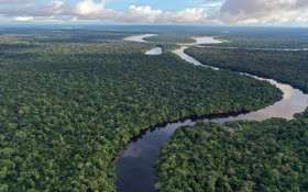 Uni&atilde;o cria 4 reservas sustent&aacute;veis no Amazonas