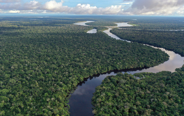 Uni&atilde;o cria 4 reservas sustent&aacute;veis no Amazonas