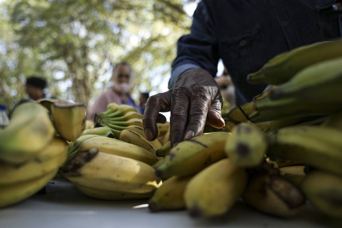 Cesta b&aacute;sica campineira sobe e contrasta com as do Sudeste
