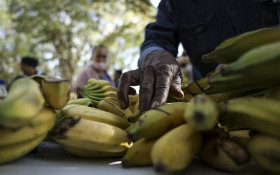 Cesta b&aacute;sica campineira sobe e contrasta com as do Sudeste