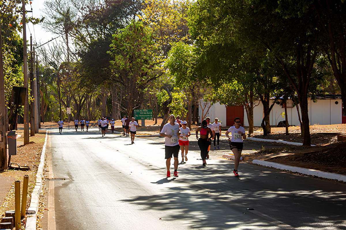 UnB inicia a Semana Universit&aacute;ria neste domingo