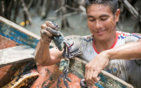 MPF pede pausa em licen&ccedil;a de petr&oacute;leo na costa paraense