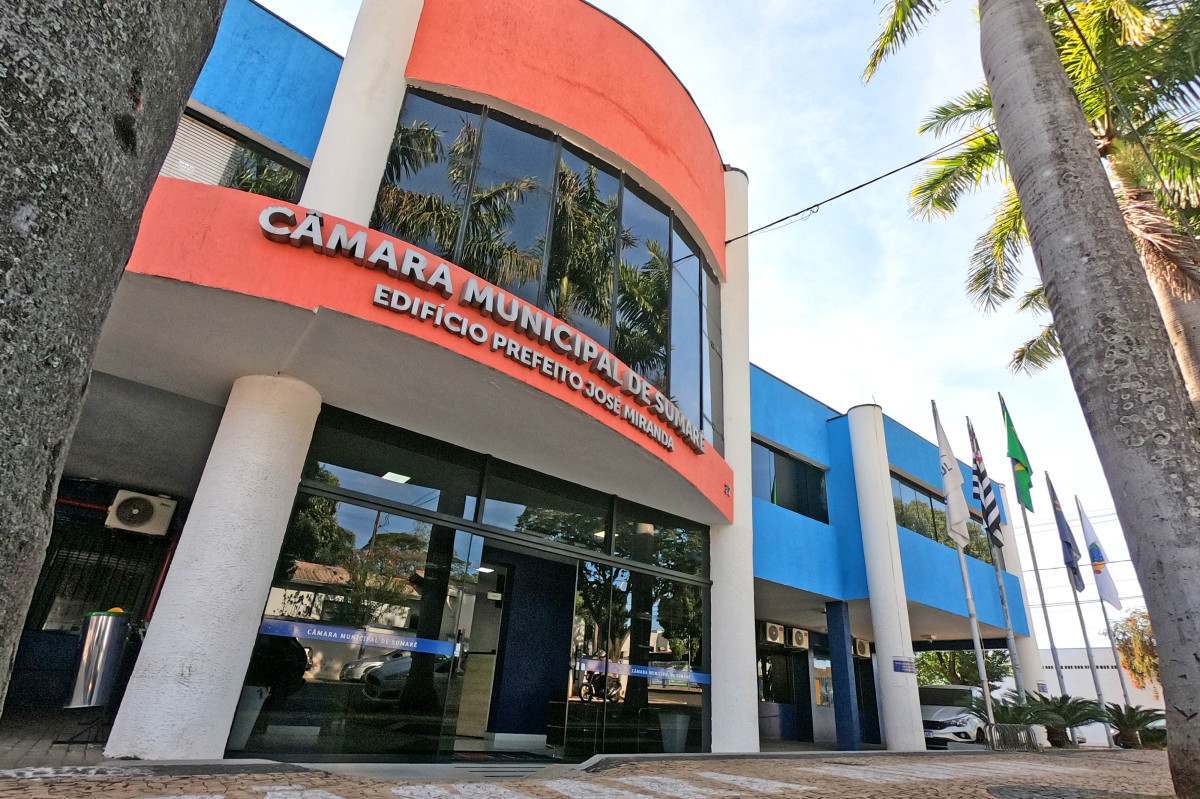 Sumar&eacute; vota projeto de seguran&ccedil;a infantil
