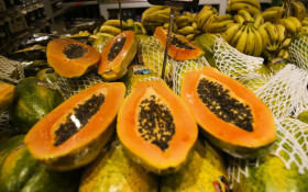 Nordeste tem 19% a mais na produ&ccedil;&atilde;o de frutas em 4 anos