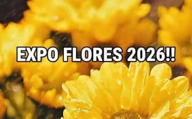 BRASILIANAS | ExpoFlores Bras&iacute;lia 2026 leva flores, oficinas e atra&ccedil;&otilde;es familiares a Taguatinga