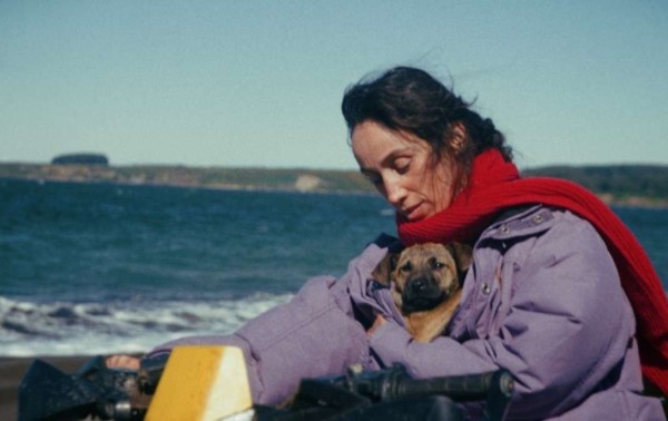 'La Perra', mascote chilena e brasileira, late por mundo