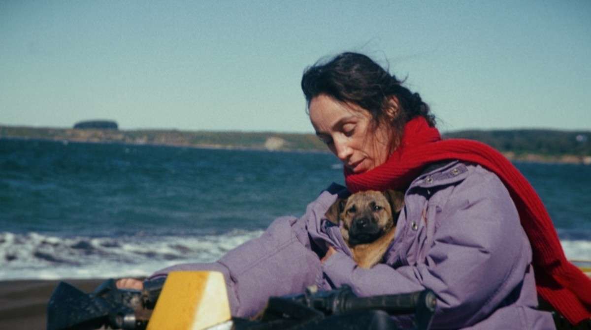 'La Perra', mascote chilena e brasileira, late por mundo