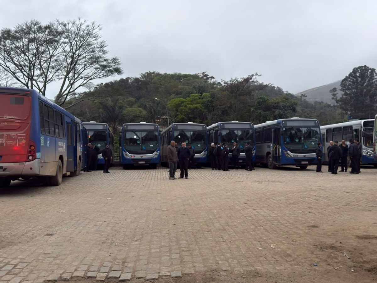 O que esperar da Turp ap&oacute;s a interven&ccedil;&atilde;o? Sobreviver&aacute;?