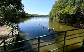 Ap&oacute;s press&atilde;o e despacho do MP, Prefeitura recua e ter&aacute; que remover postes de ilumina&ccedil;&atilde;o do Parque Herm&oacute;genes