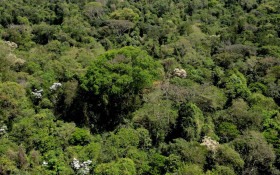 Comdema cobra parecer t&eacute;cnico e alerta para impactos do mega data center na Mata de Santa Genebra
