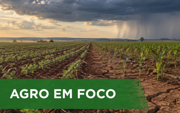Chuvas irregulares exigem cautela no plantio da soja em Goi&aacute;s e Mato Grosso
