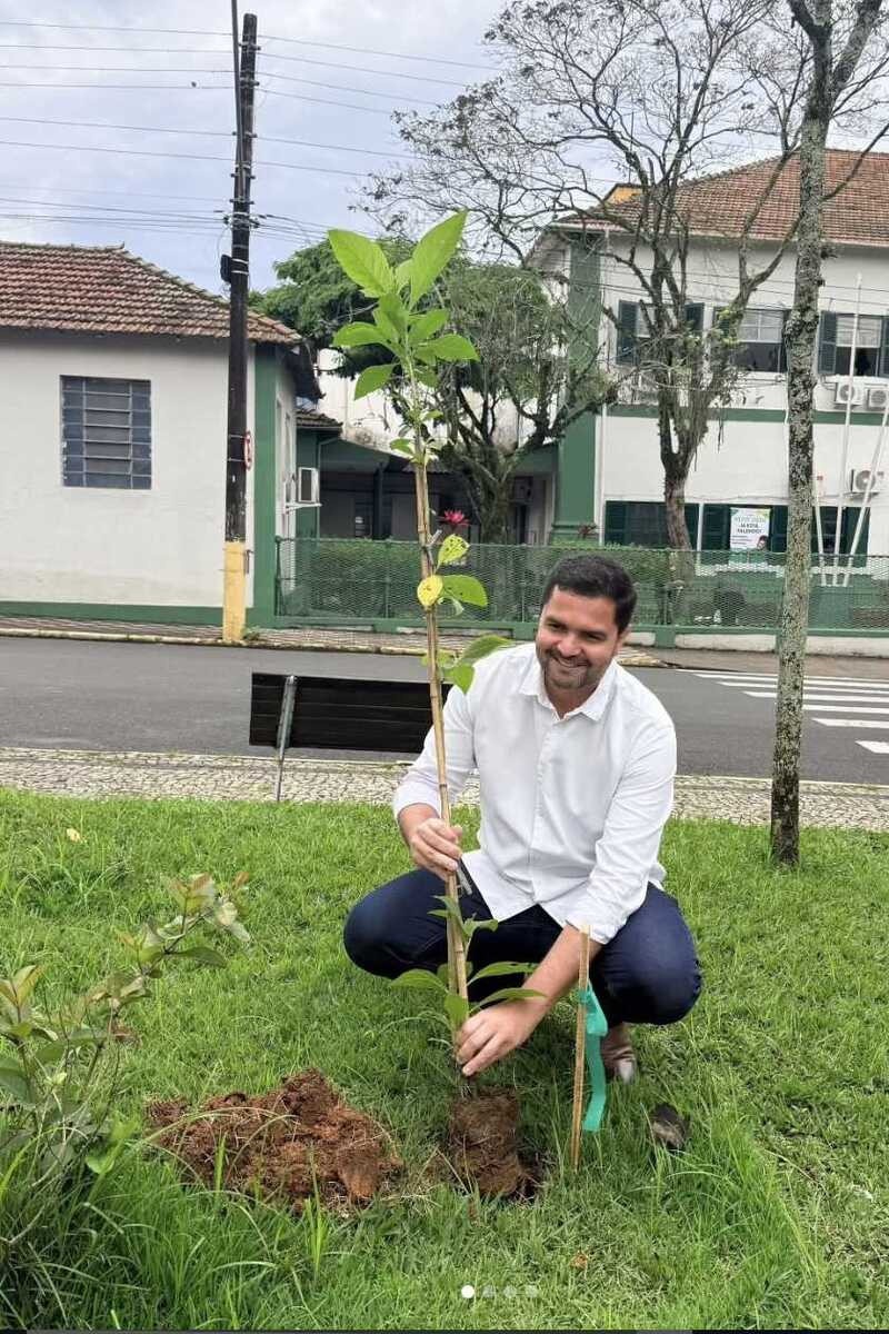Itatiaia amplia arboriza&ccedil;&atilde;o com plantio de mais de 50 mudas