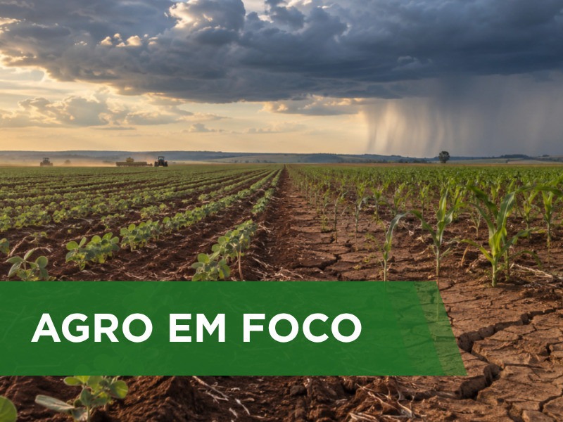 Chuvas irregulares exigem cautela no plantio da soja em Goi&aacute;s e Mato Grosso