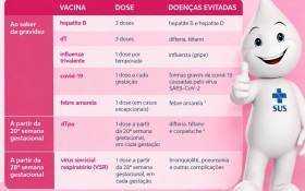 Vacina&ccedil;&atilde;o em gestantes: um ato duplo de amor